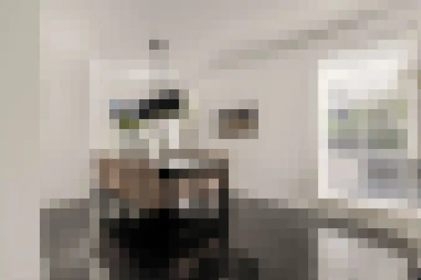 Pavane 8 Nieuw-Vennep thumbnail 21