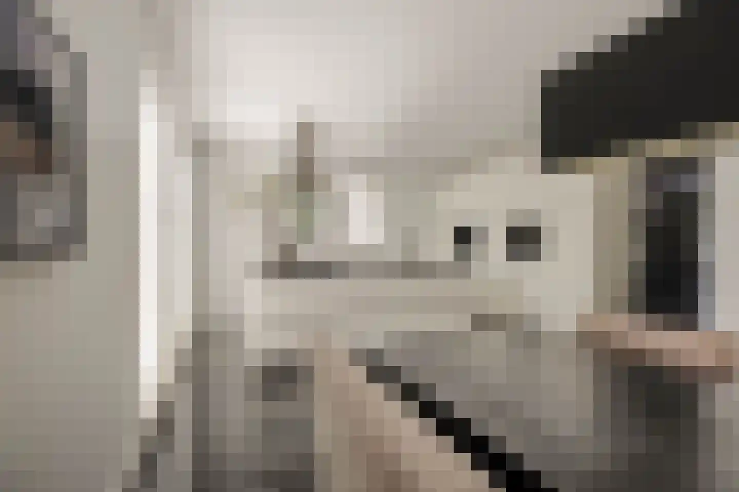 Pavane 8 Nieuw-Vennep thumbnail 22