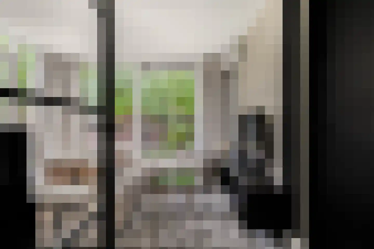 Pavane 8 Nieuw-Vennep thumbnail 25