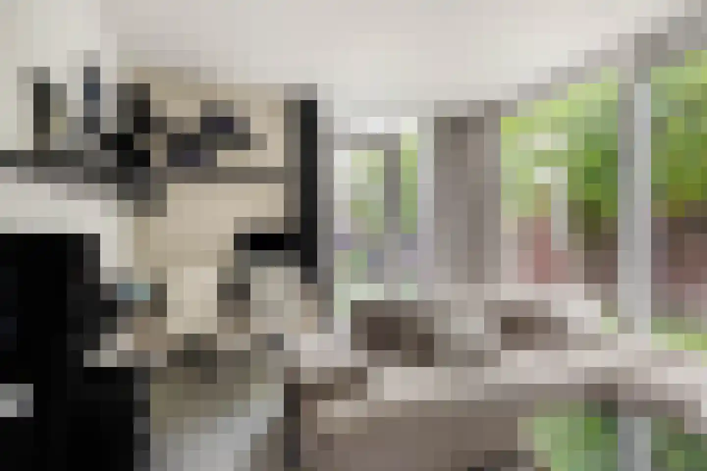 Pavane 8 Nieuw-Vennep thumbnail 26