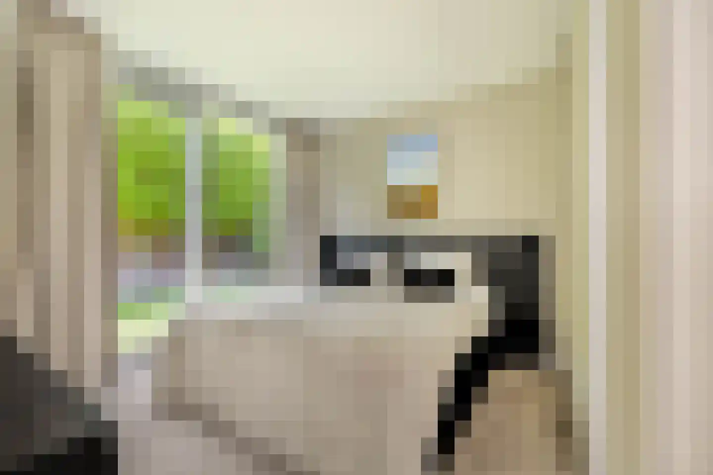 Pavane 8 Nieuw-Vennep thumbnail 33
