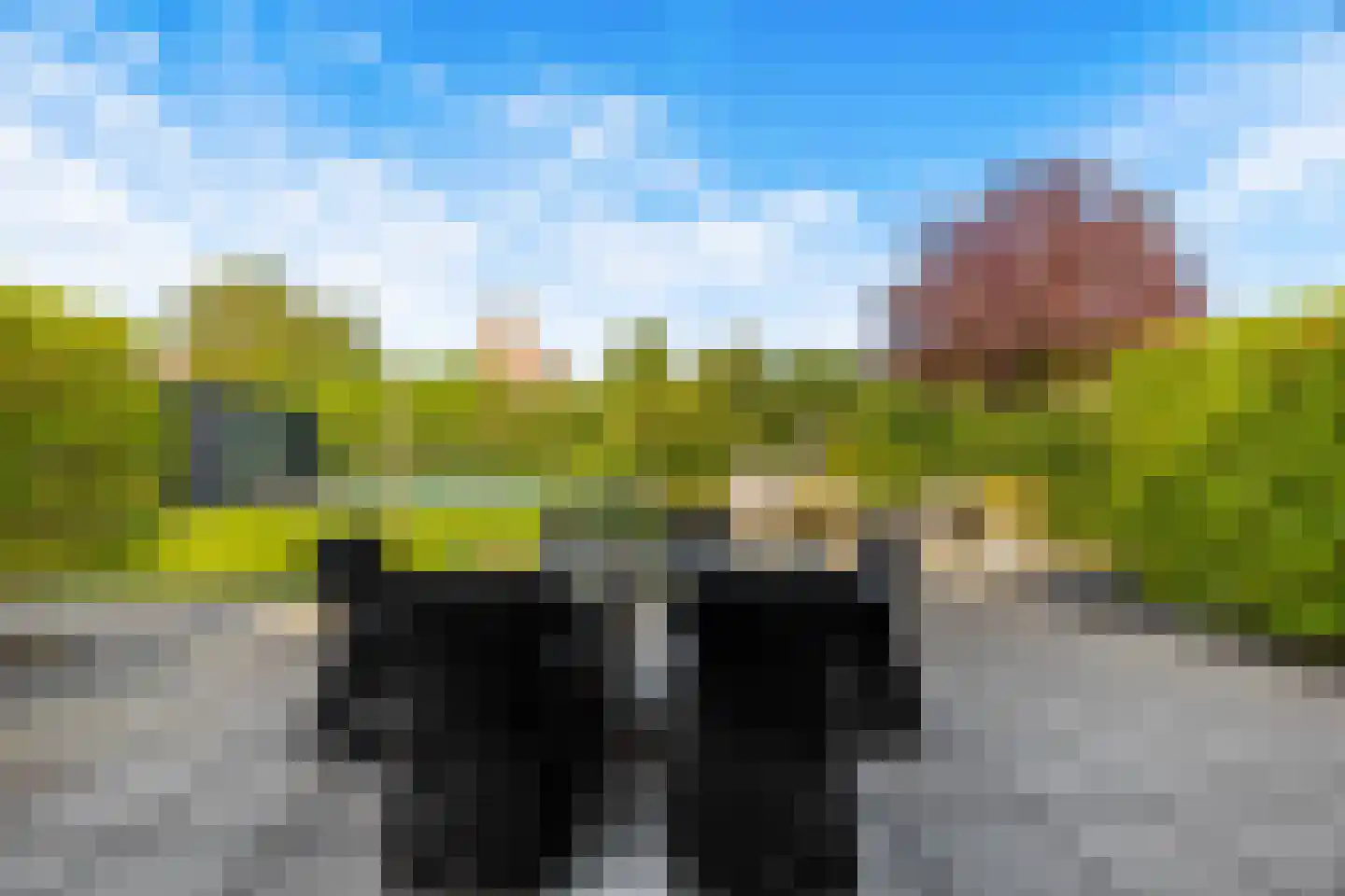 Pavane 8 Nieuw-Vennep thumbnail 37