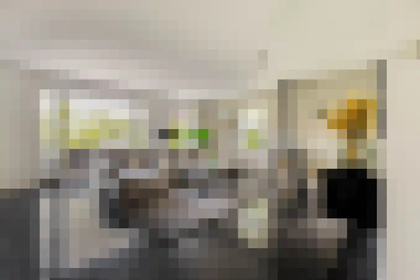 Pavane 8 Nieuw-Vennep thumbnail 4