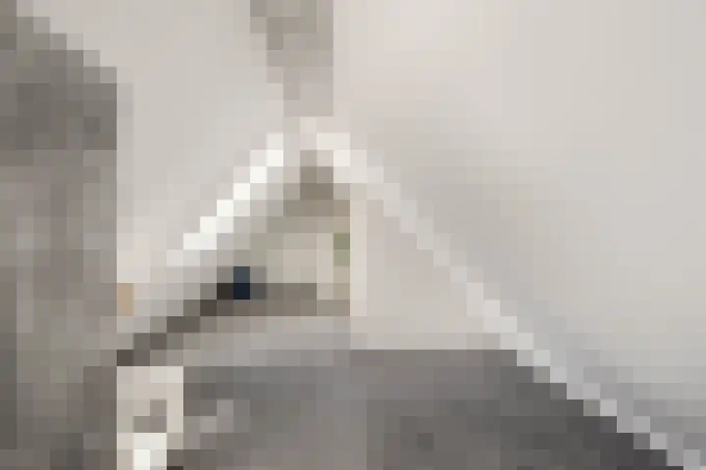 Pavane 8 Nieuw-Vennep thumbnail 66