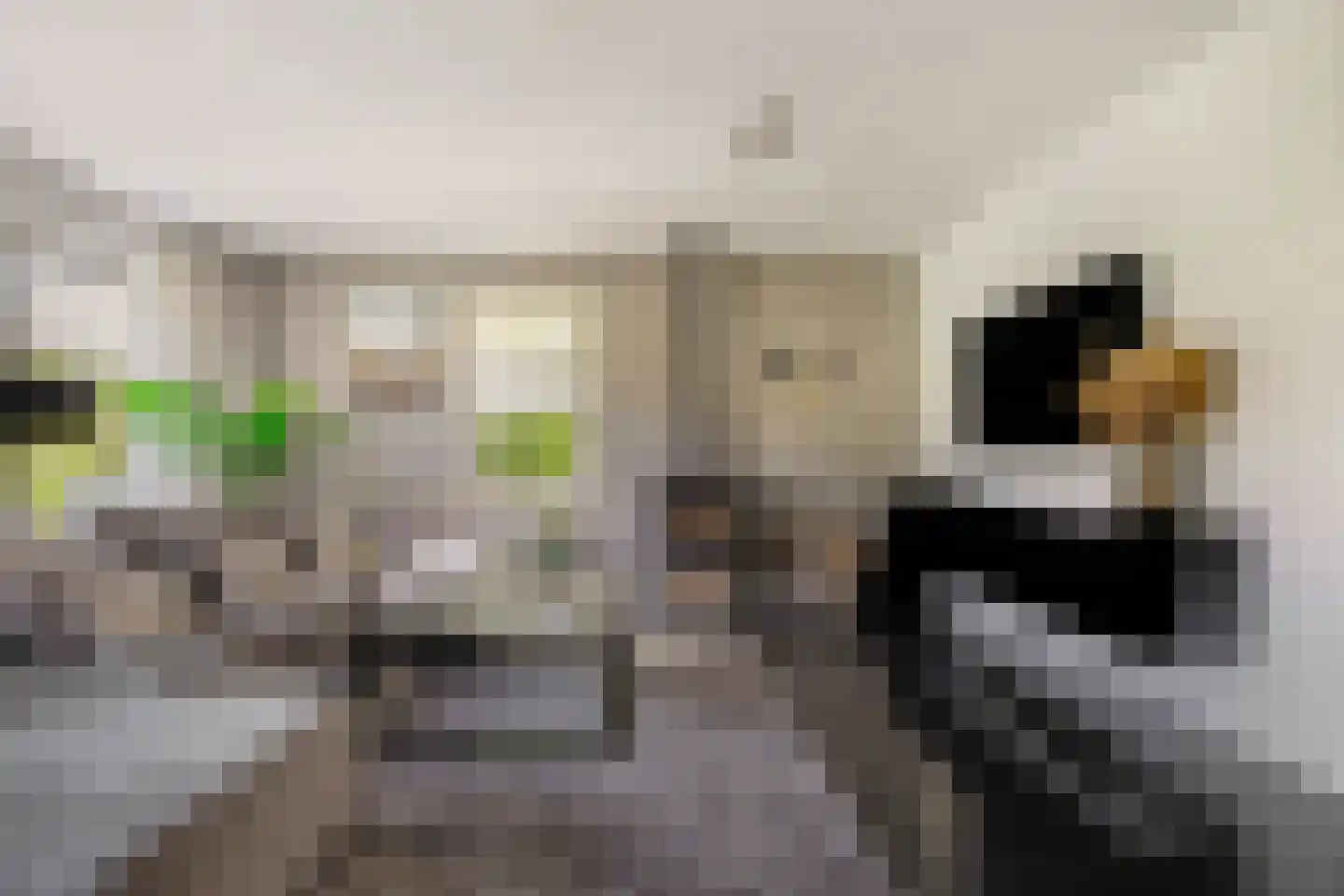 Pavane 8 Nieuw-Vennep thumbnail 9