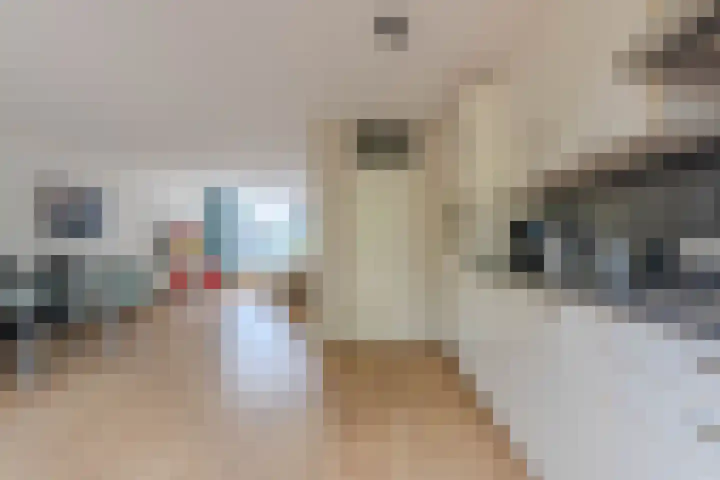 Pavanestraat 108 Venray thumbnail 17