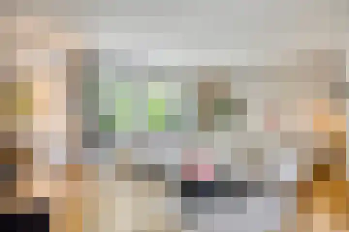 Pavanestraat 118 Venray thumbnail 8