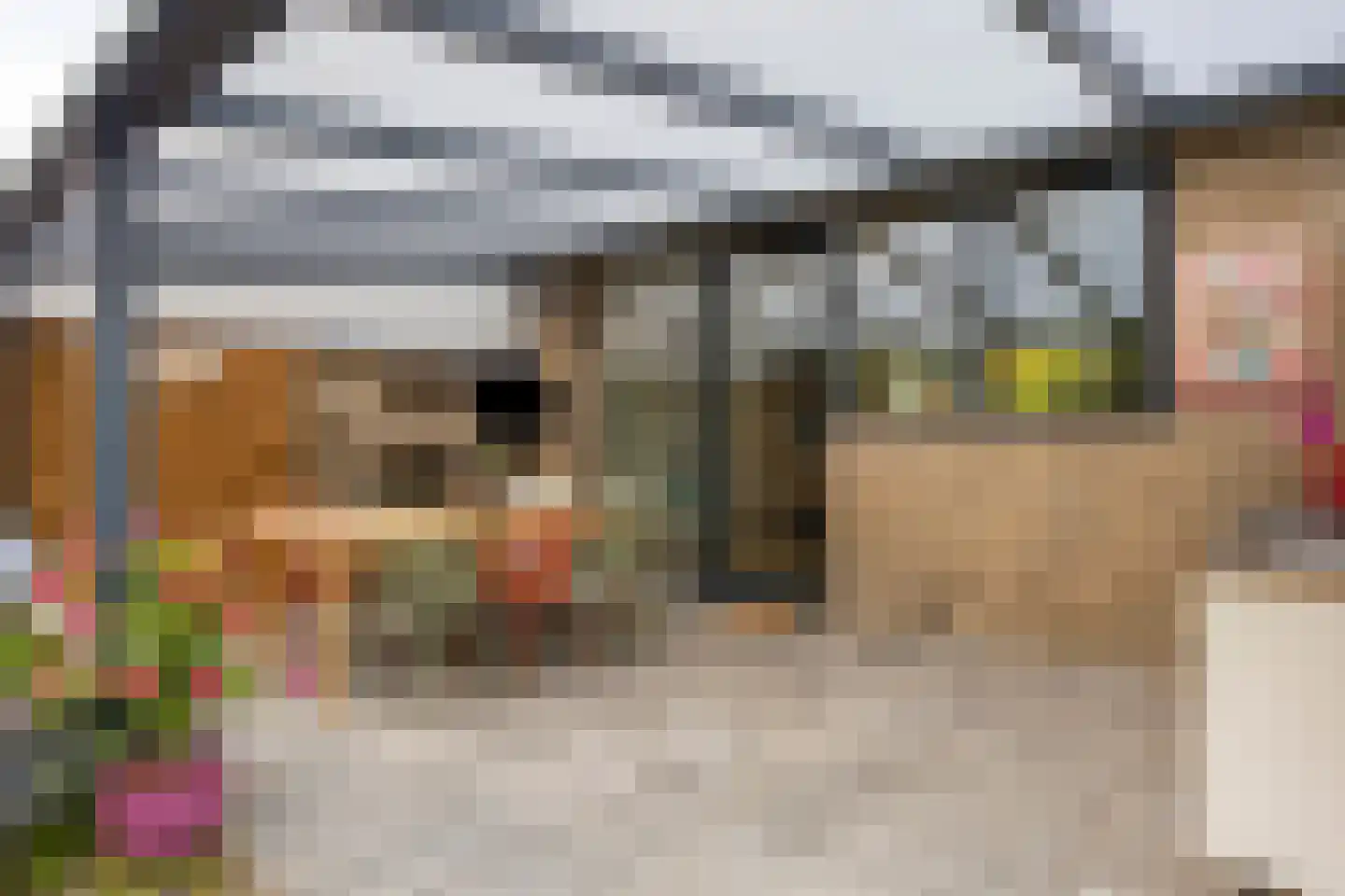 Pavanestraat 56 Venray thumbnail 26