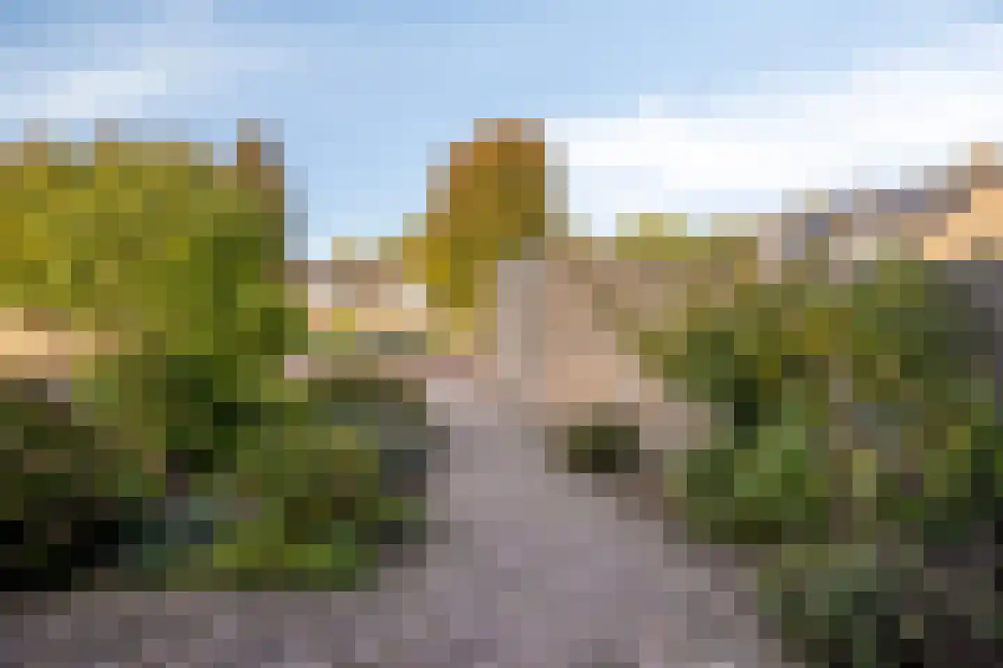 Pavanestraat 56 Venray thumbnail 33