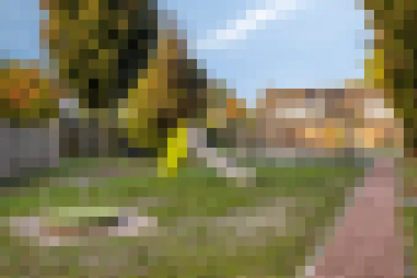 Pavanestraat 56 Venray thumbnail 39