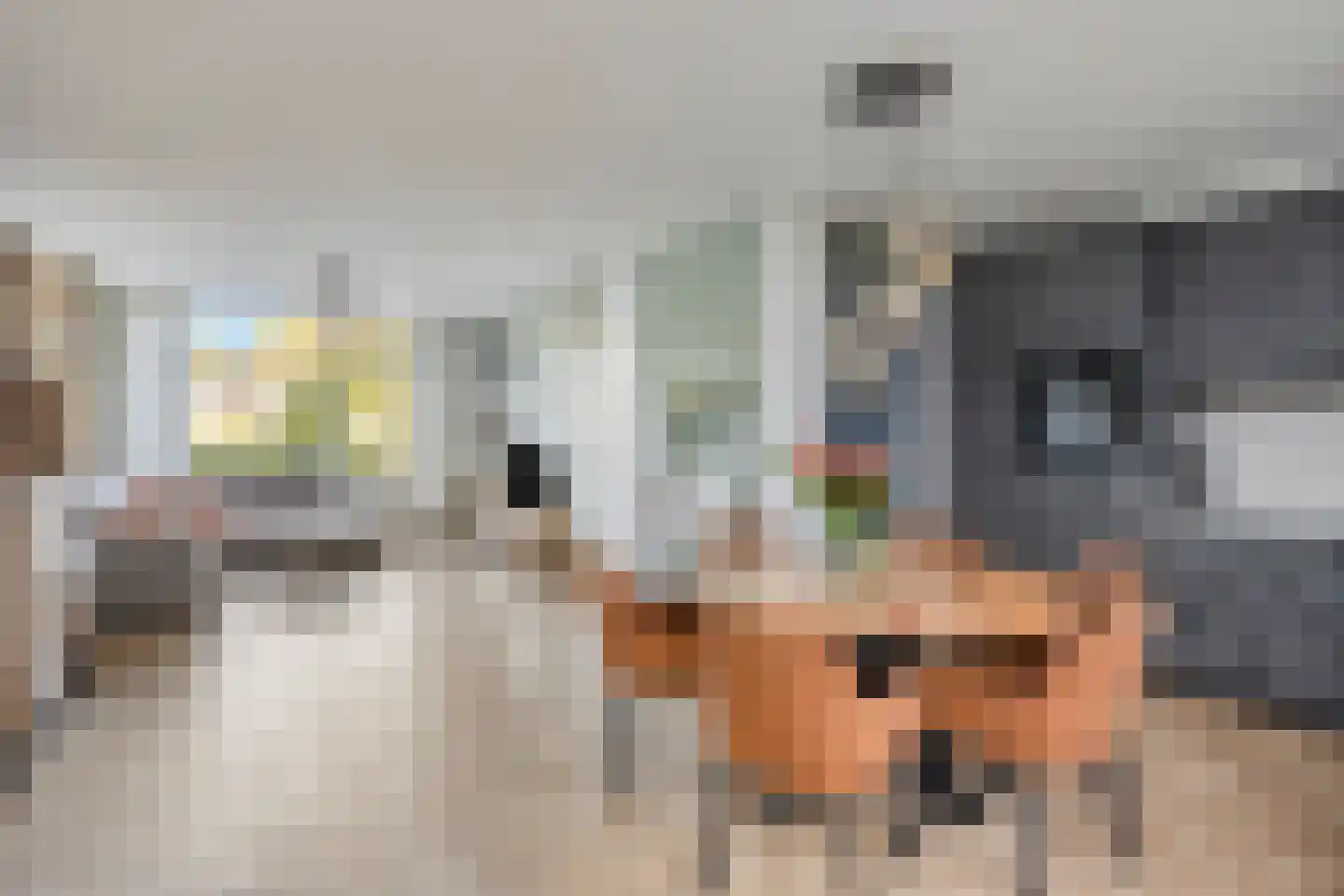 Pavanestraat 56 Venray thumbnail 8