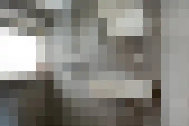 Paviljoenshof 15 Leiden thumbnail 4