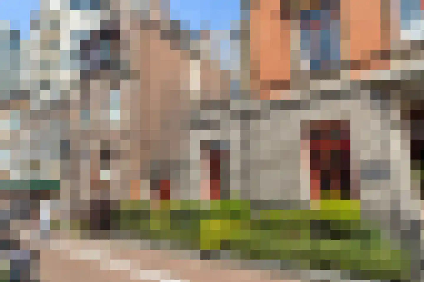 Paviljoenshof 4 Leiden thumbnail 25
