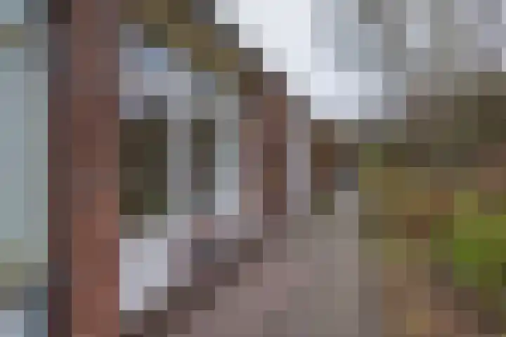 Paviljoenshof 9 in Leiden