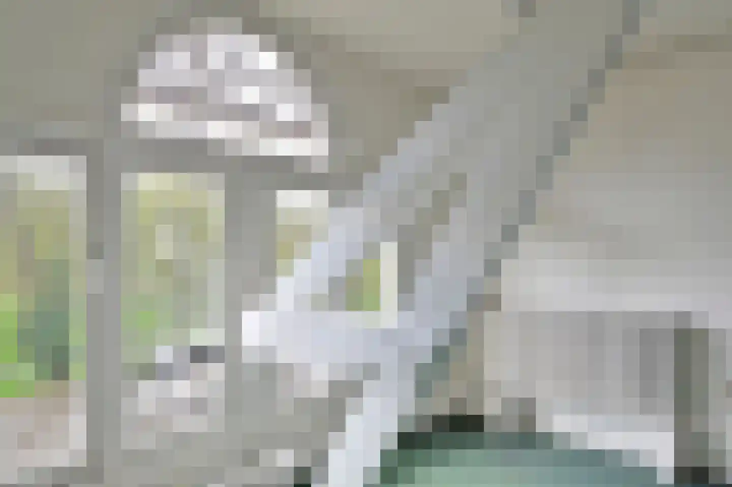 Paviljoenslaan 7 Haarlem thumbnail 23