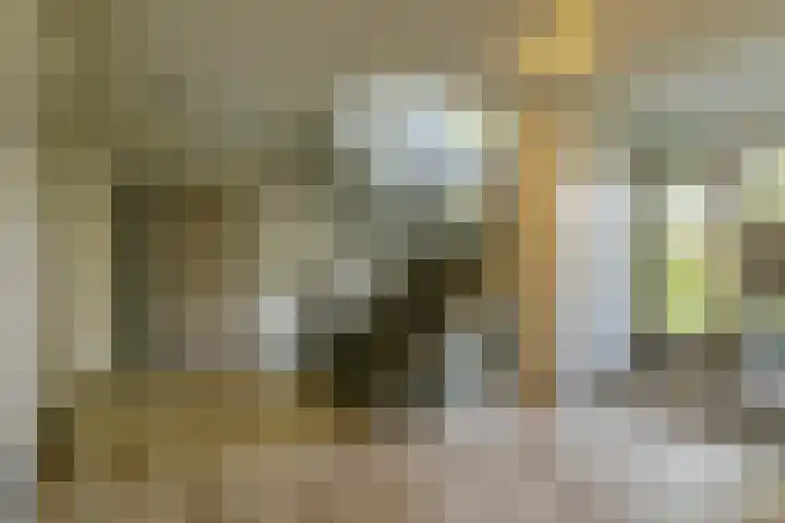 Paviljoenslaantje 17 Bloemendaal thumbnail 31