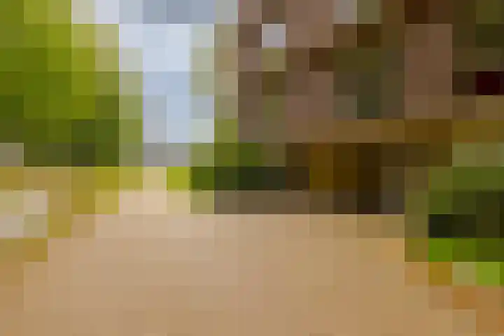 Paviljoenslaantje 17 Bloemendaal thumbnail 36