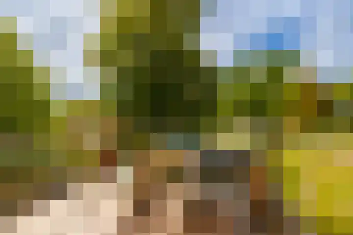 Paviljoenslaantje 17 Bloemendaal thumbnail 4