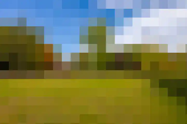 Paviljoenslaantje 17 Bloemendaal thumbnail 41