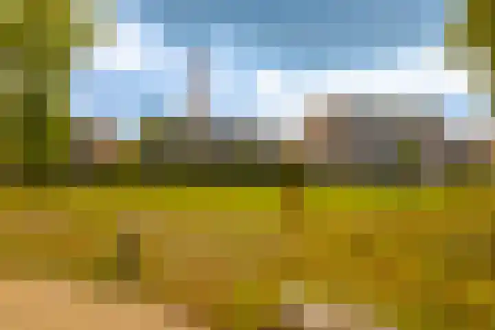 Paviljoenslaantje 17 Bloemendaal thumbnail 43