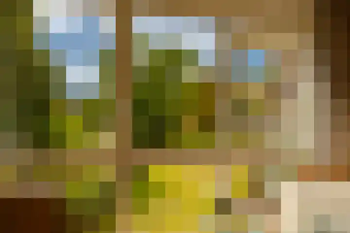 Paviljoenslaantje 17 Bloemendaal thumbnail 6