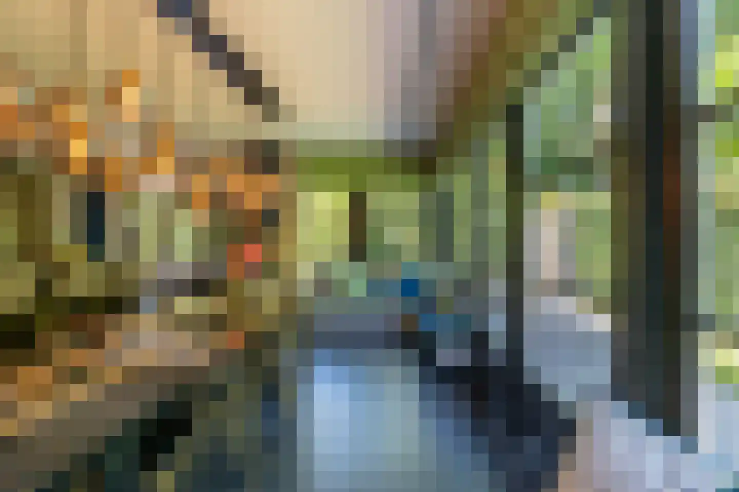 Paviljoensweg 12 Laren thumbnail 12