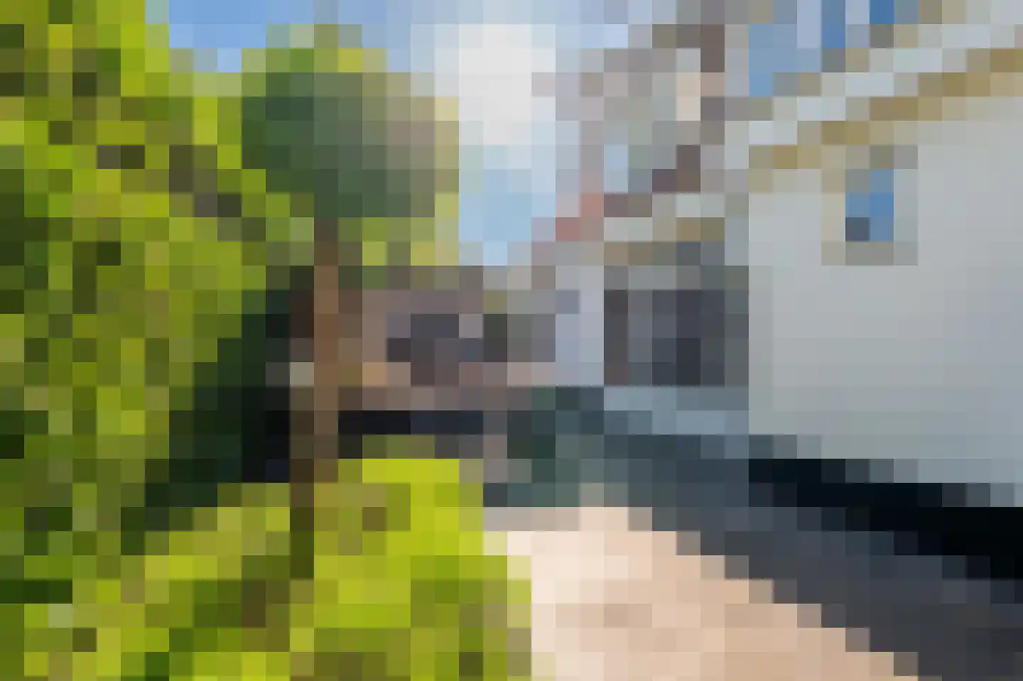 Paviljoensweg 12 Laren thumbnail 21