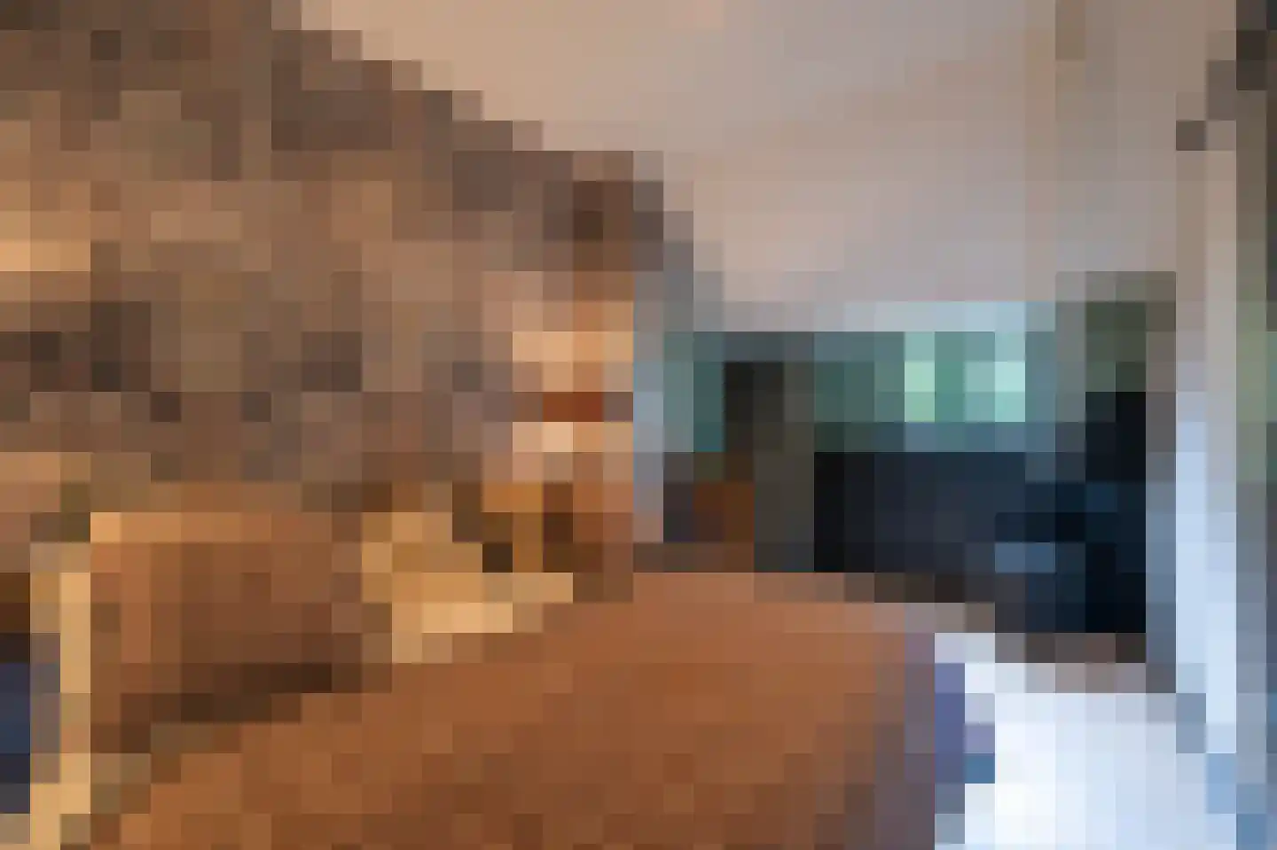 Paviljoensweg 12 Laren thumbnail 30