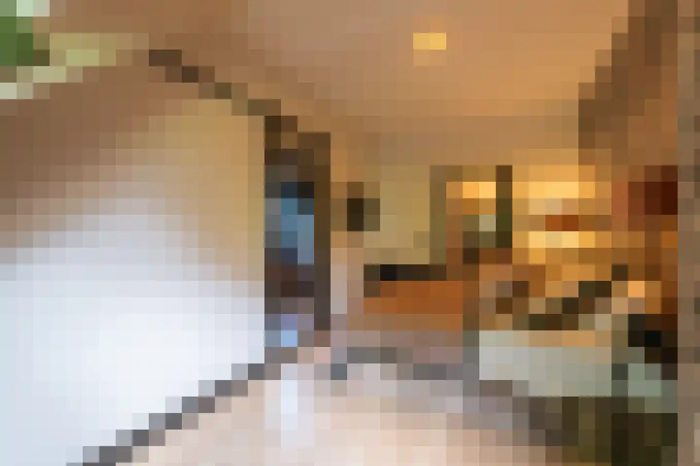 Paviljoensweg 12 Laren thumbnail 32