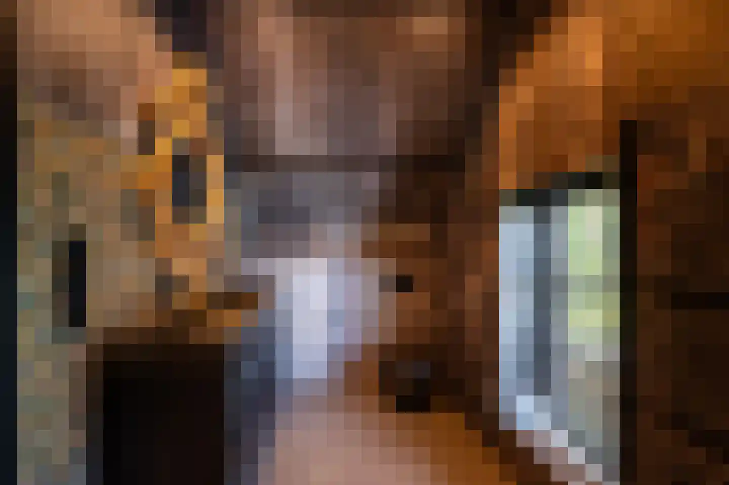 Paviljoensweg 12 Laren thumbnail 35