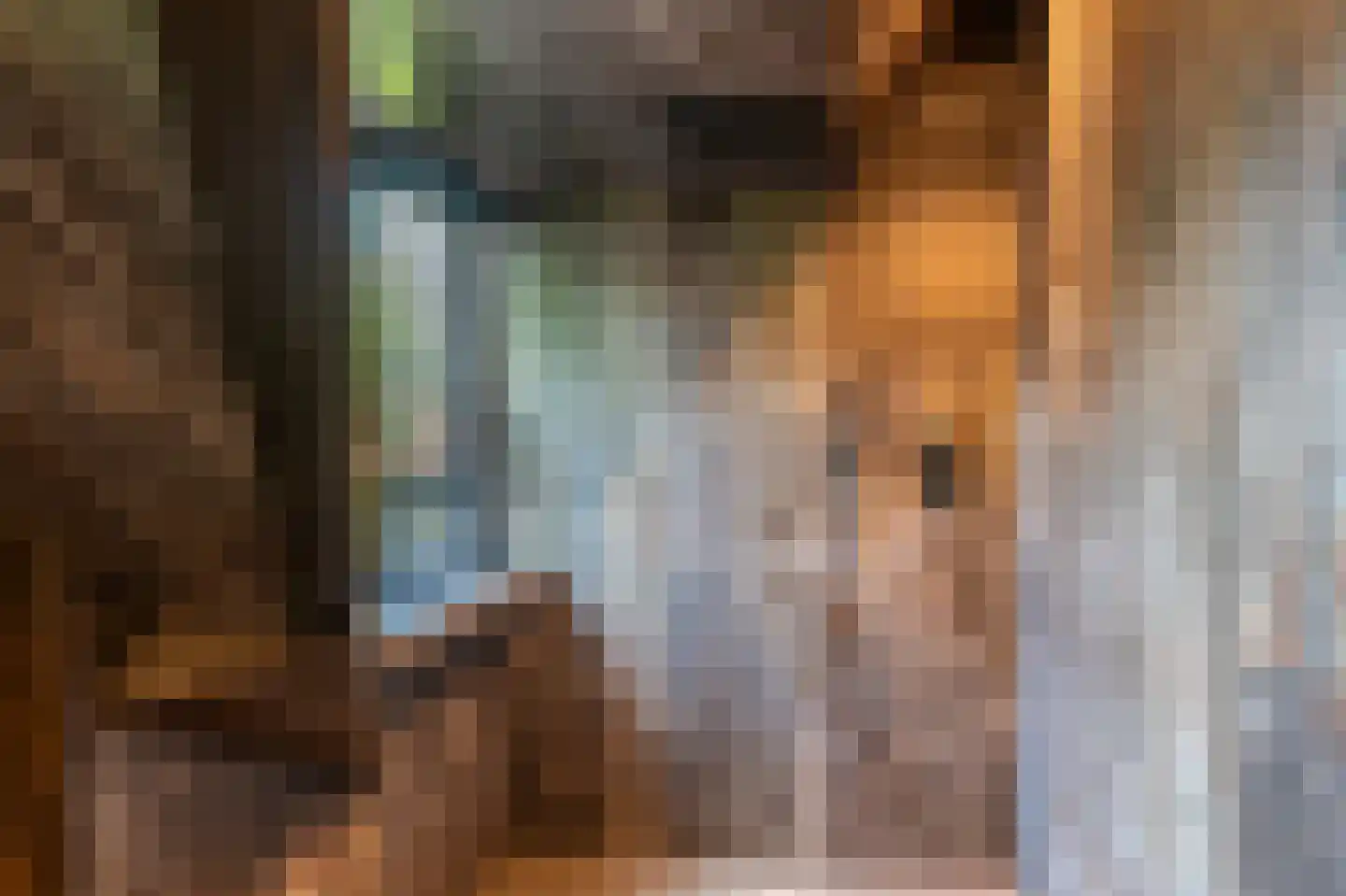 Paviljoensweg 12 Laren thumbnail 36
