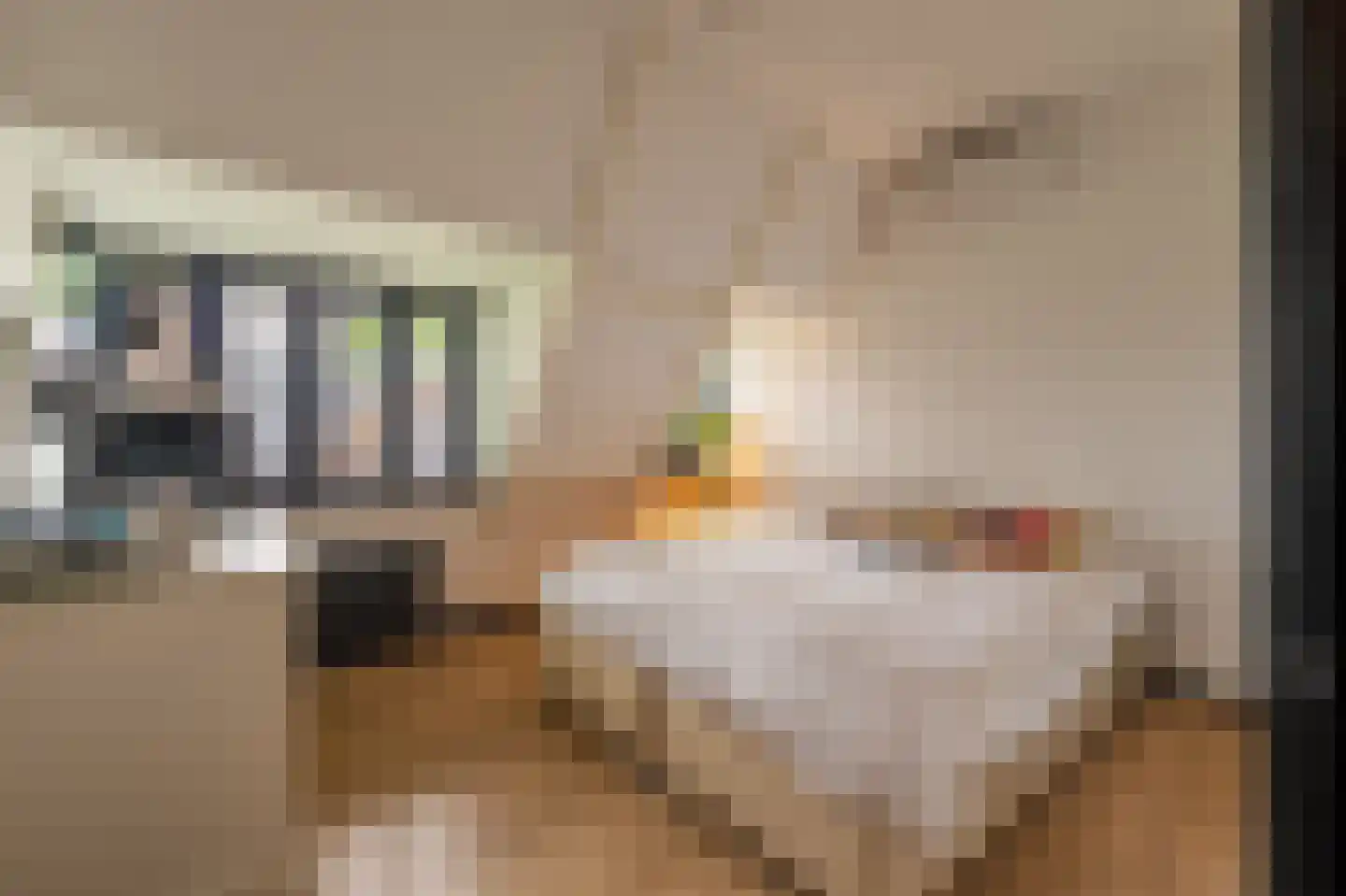 Paviljoensweg 12 Laren thumbnail 38