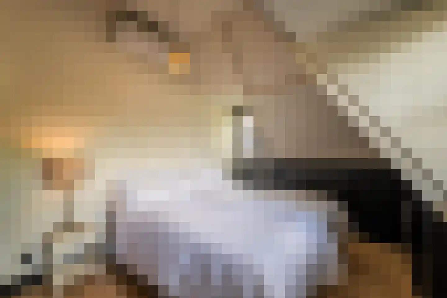 Paviljoensweg 12 Laren thumbnail 40