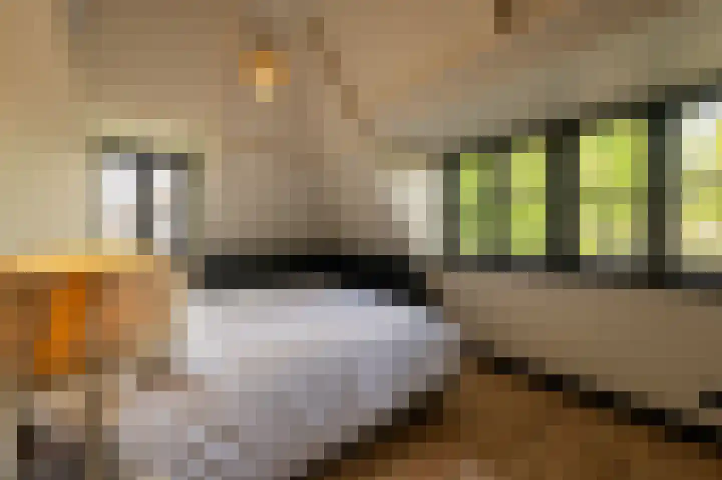 Paviljoensweg 12 Laren thumbnail 41