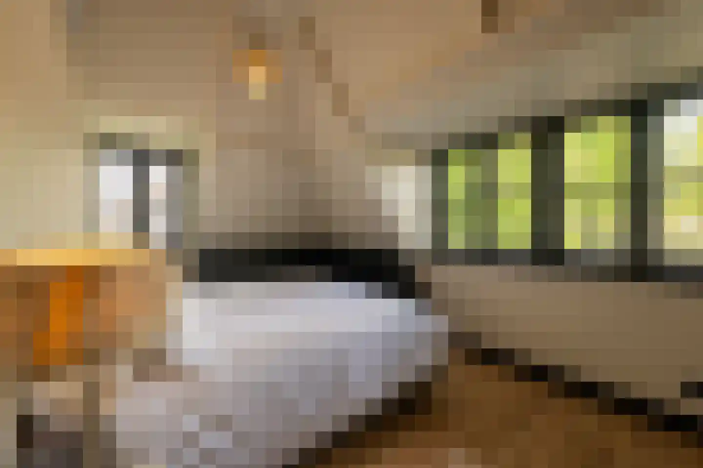 Paviljoensweg 12 Laren thumbnail 42