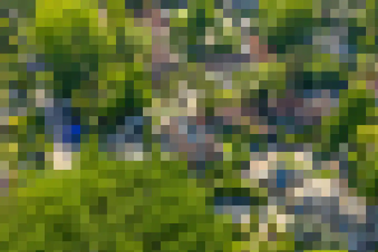 Paviljoensweg 12 Laren thumbnail 44