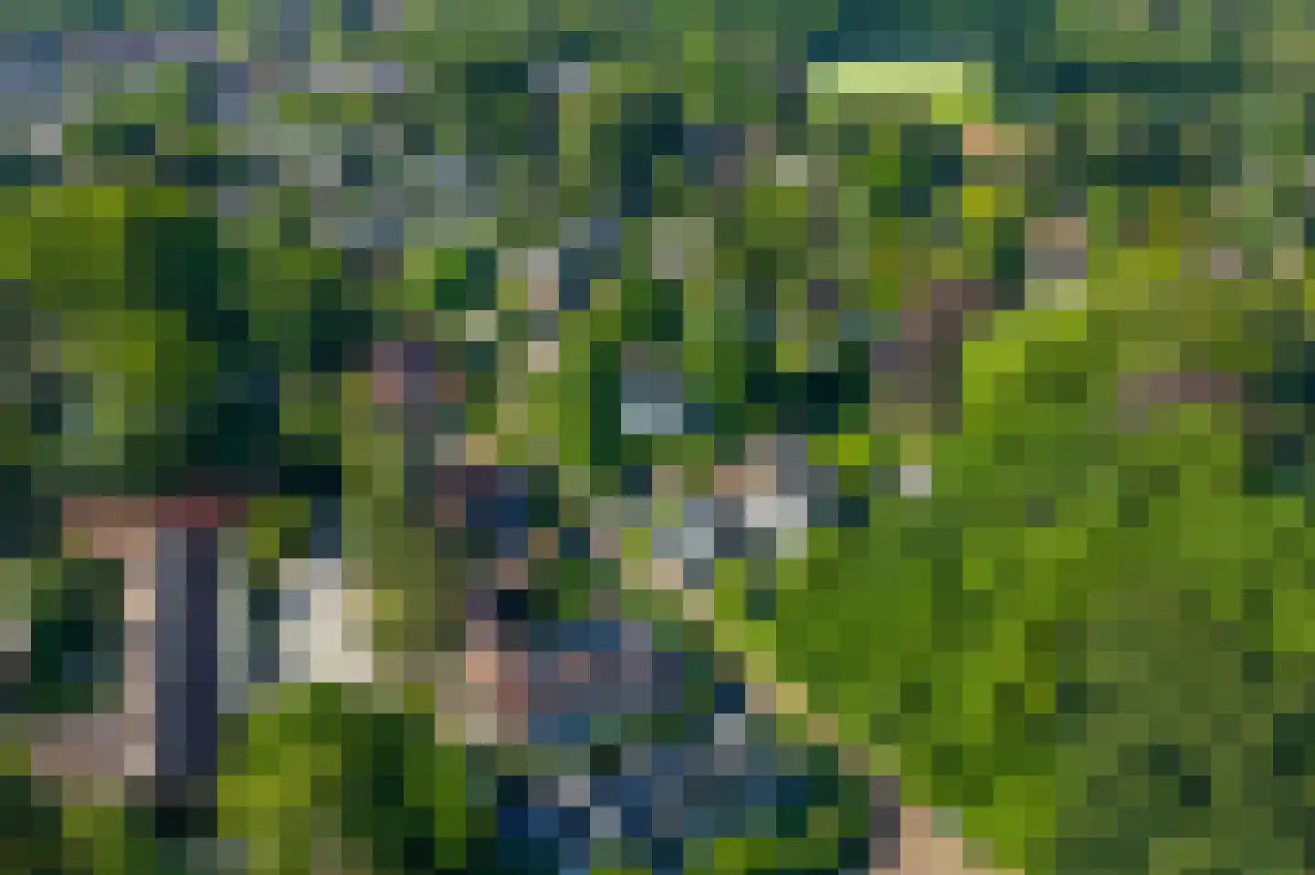 Paviljoensweg 12 Laren thumbnail 45