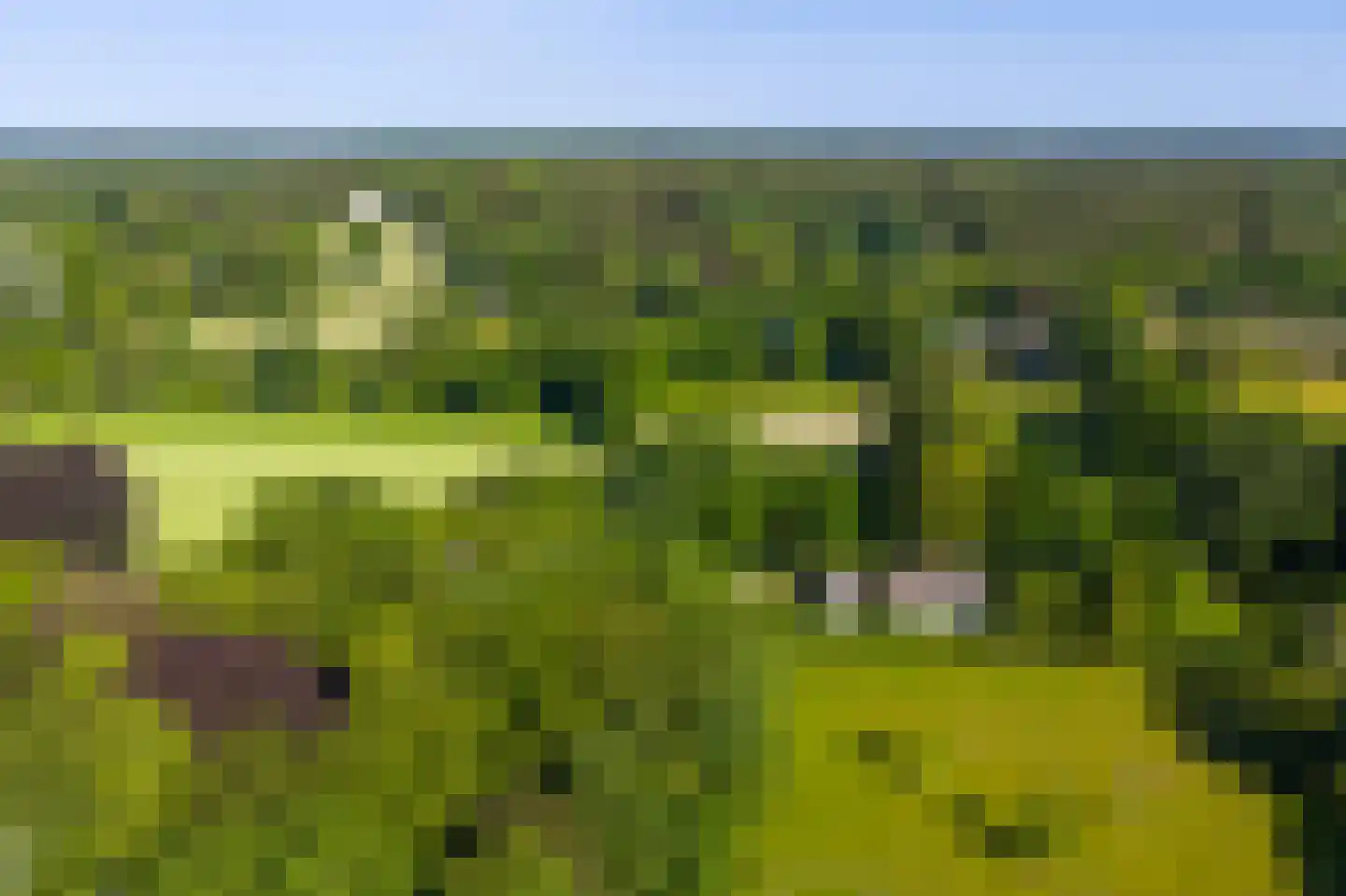 Paviljoensweg 12 Laren thumbnail 46