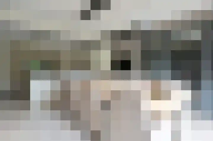 Paviljoensweg 4 Laren thumbnail 10