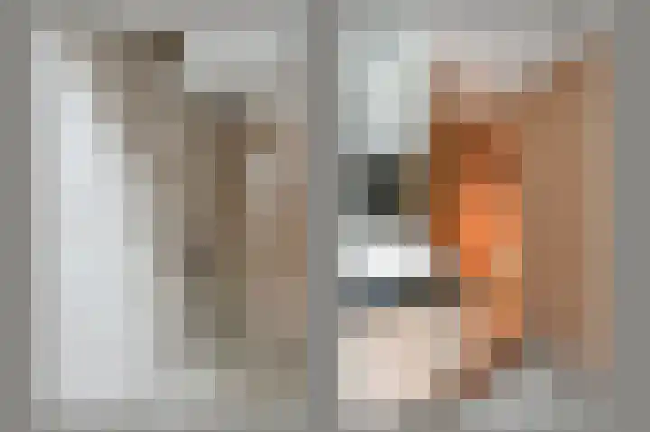 Paviljoensweg 4 Laren thumbnail 16