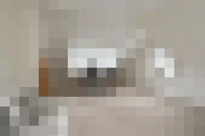 Paviljoensweg 4 Laren thumbnail 17