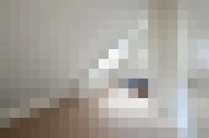 Paviljoensweg 4 Laren thumbnail 20