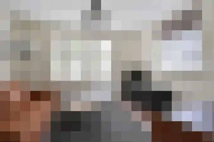 Paviljoensweg 4 Laren thumbnail 25