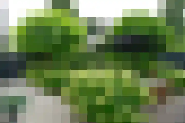 Paviljoensweg 4 Laren thumbnail 32