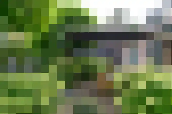Paviljoensweg 4 Laren thumbnail 33