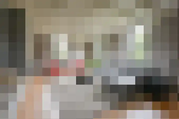Paviljoensweg 4 Laren thumbnail 5
