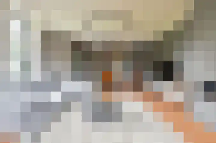 Paviljoensweg 4 Laren thumbnail 6