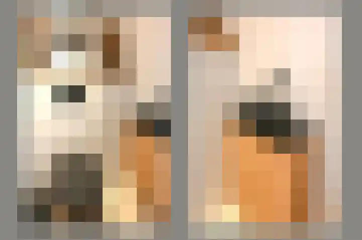 Paviljoensweg 4 Laren thumbnail 8