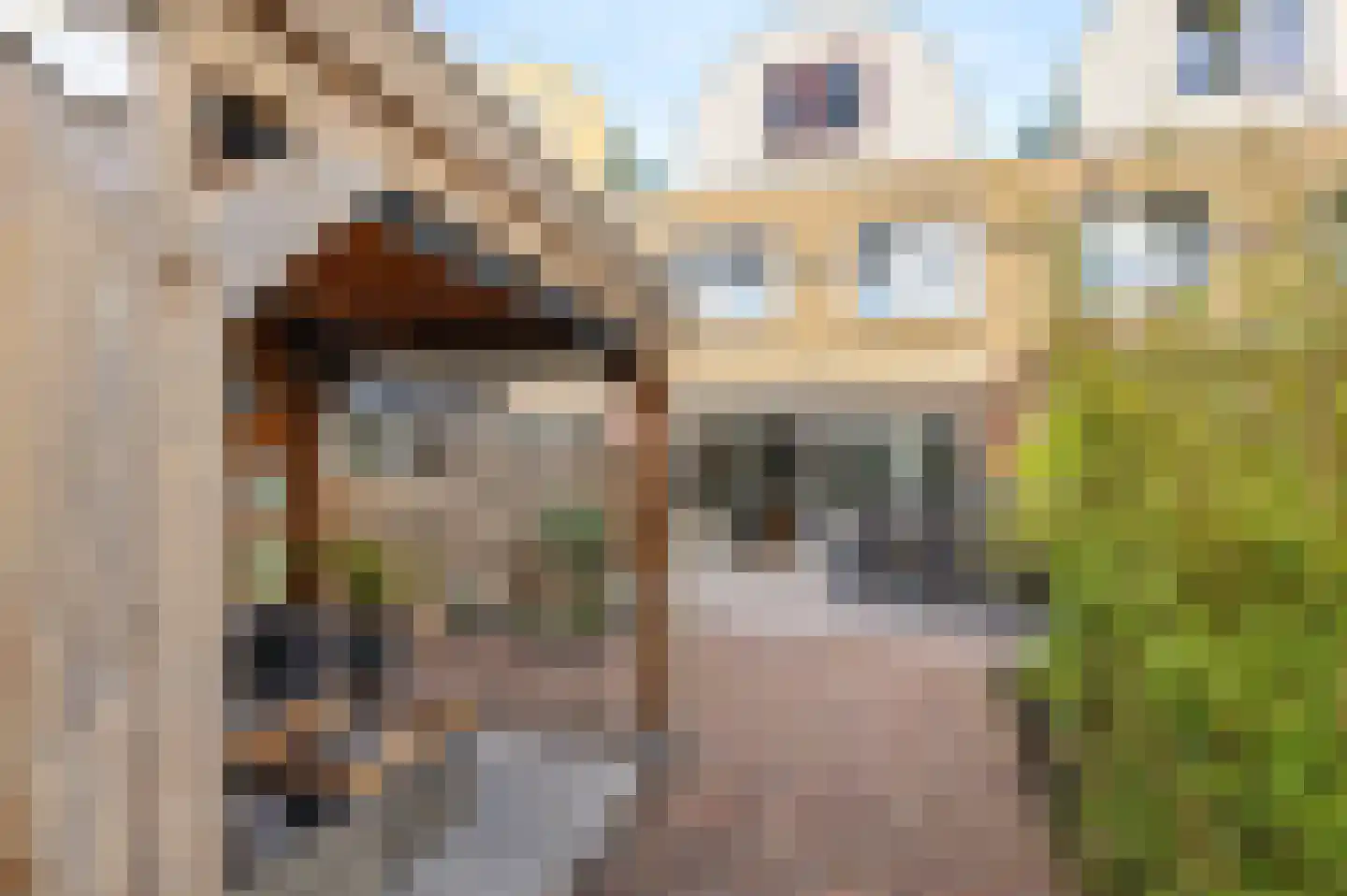 Paviljoentjalk 2 Velserbroek thumbnail 5