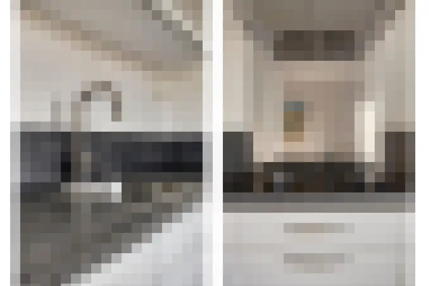 Paviljoentjalk 31 Bergen op Zoom thumbnail 10